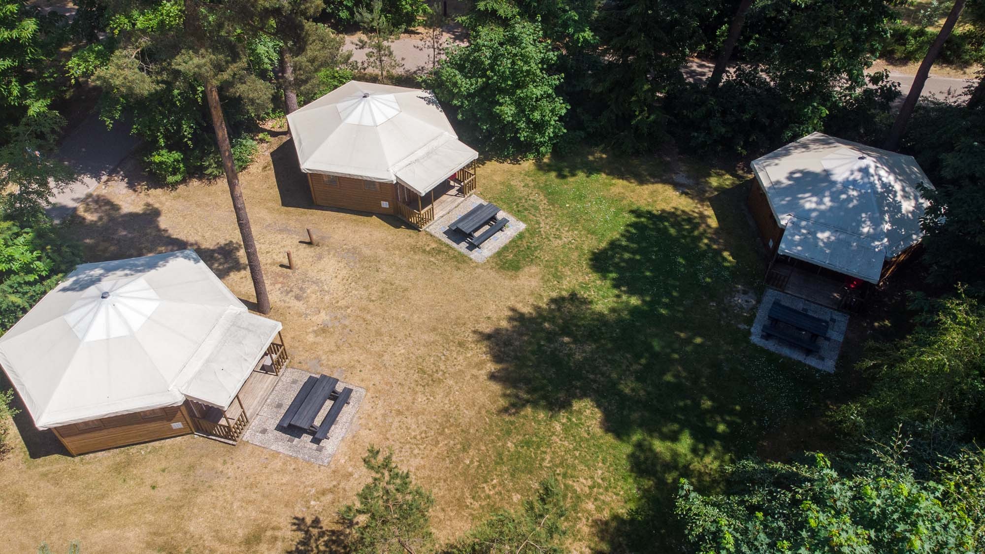 Berenhut grollo 1