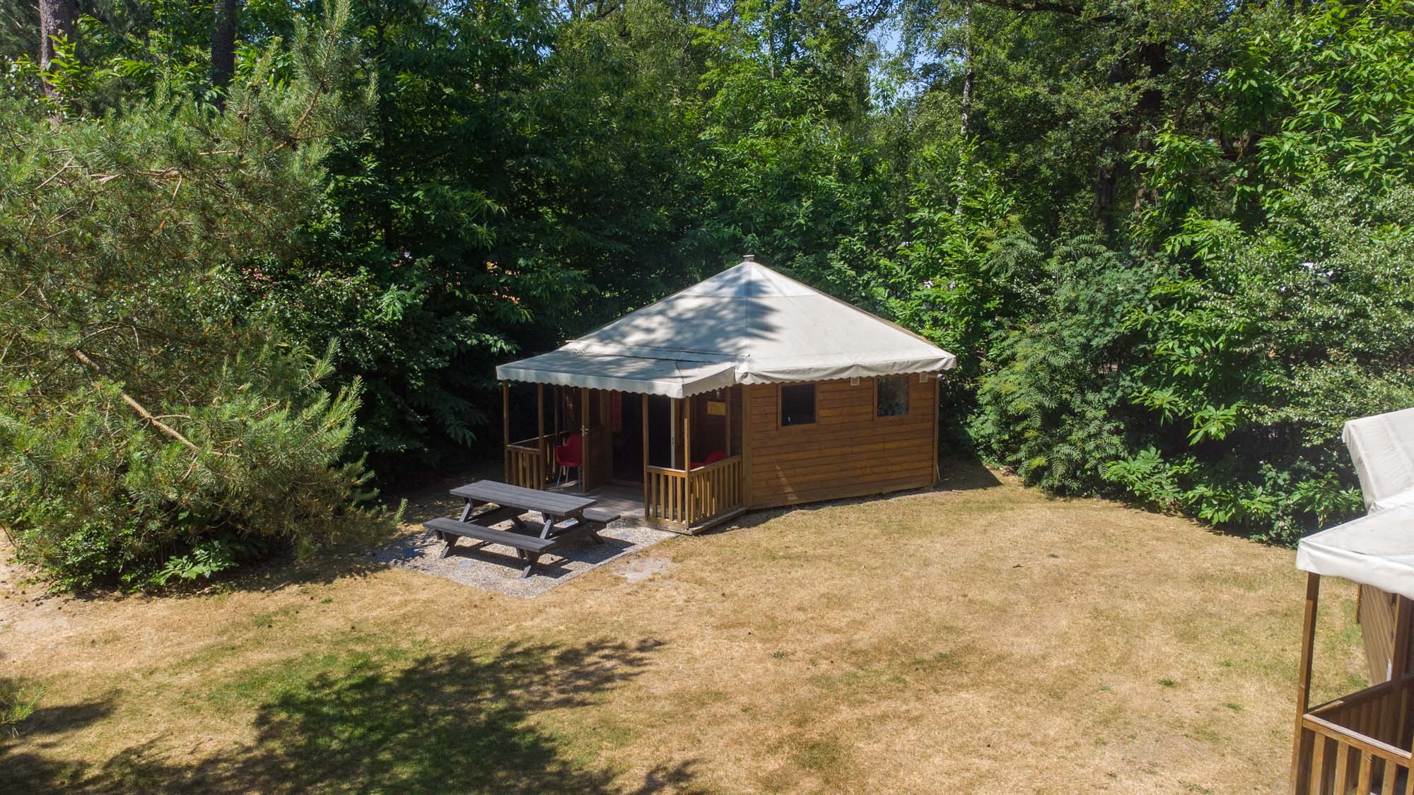 Berenhut grollo 2