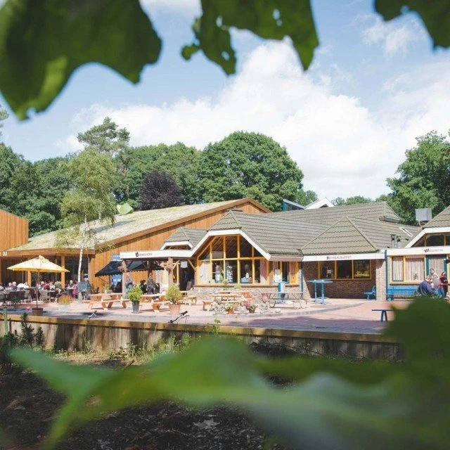 Camping drenthe met restaurant