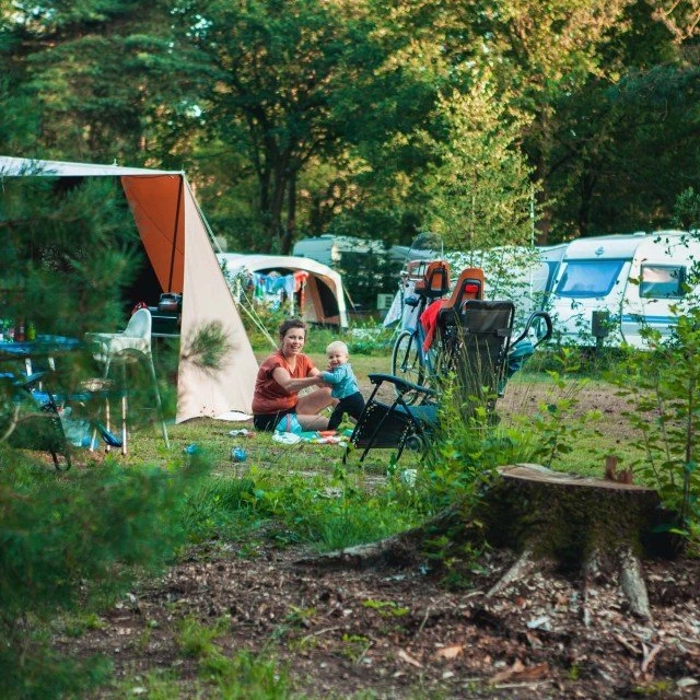 Kamperen op de berenkuil
