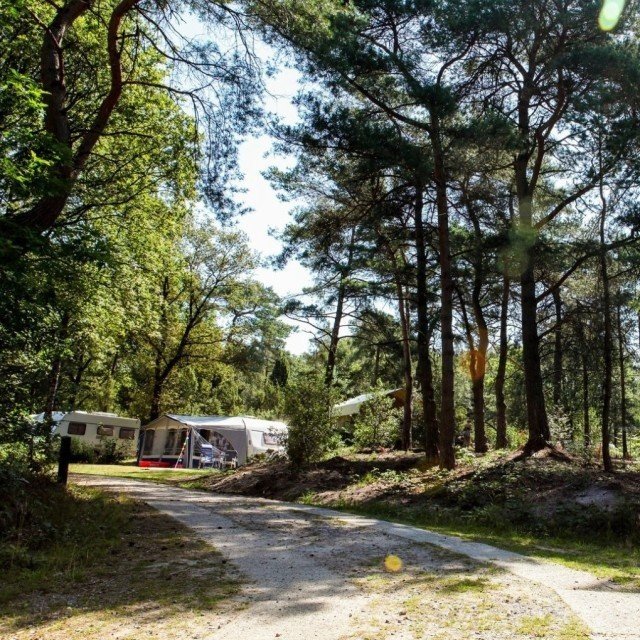 Himmelfahrt-Pfingsten