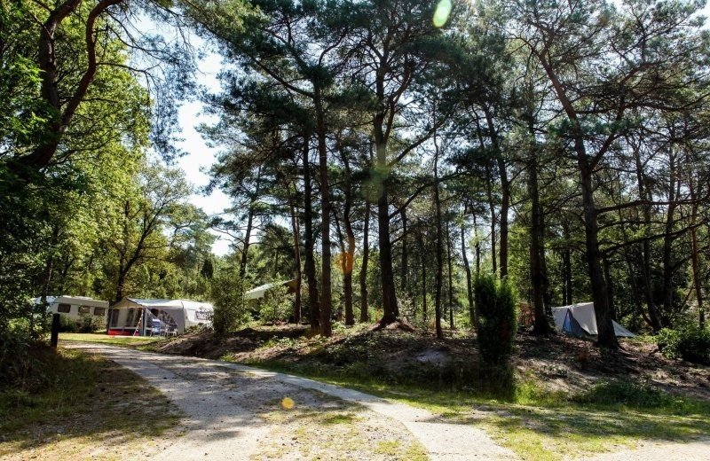 Himmelfahrt-Pfingsten